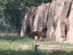 -秦皇岛野生动物园