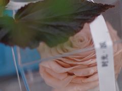 -COTTON CAFE(德信·中外公寓店)