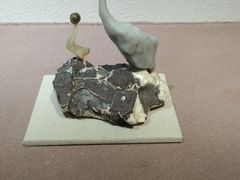 -陕西自然博物馆