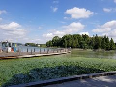 -水上明月·湖景餐厅