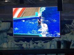 -福州罗源湾海洋世界旅游区