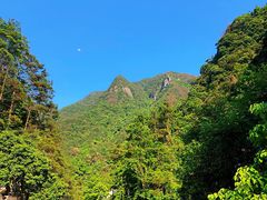 -花岩国家森林公园