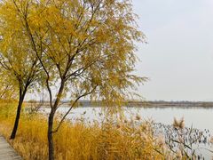 -野鸭湖国家湿地公园