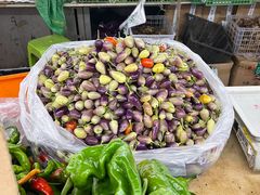 -五里多农博广场