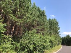 -塞罕坝国家级自然保护区