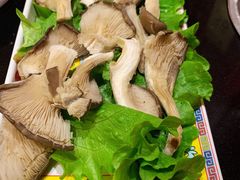-芦月轩羊蝎子(太平桥店)