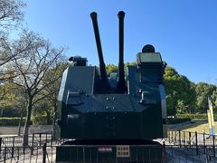 -上海吴淞炮台湾国家湿地公园