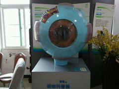 -中山大学中山眼科中心(区庄院区)