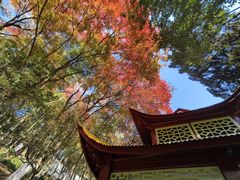 -莫干山风景区