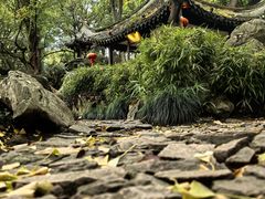 -绮园景区