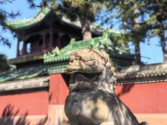 -普乐寺