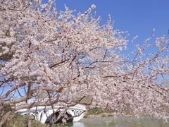 -大兴滨河森林公园