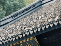 -上海佘山国家森林公园天马山园