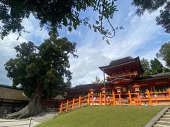 -奈良公园