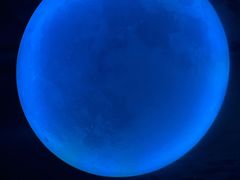-天津梵高星空艺术馆(天河城旗舰店)