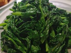 清炒豌豆尖-雲蜀龙阁·金牌水煮鱼(方庄店)