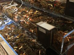-RED LOBSTER(环球影城大阪店)