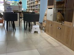 -老吴的猫·猫舍(新区店)