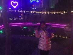 -枫花园汽车电影院(朝阳公园店)