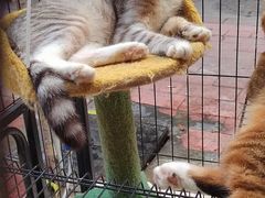 景观位-大档(荔湾店)