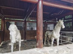 -白马涧龙池景区