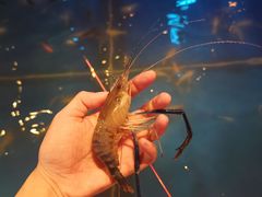 -钳真多钓虾馆·小龙虾海鲜烧烤(九六广场店)