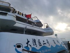 -招商蛇口邮轮母港(观光客运)