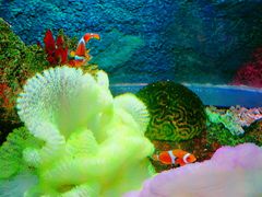 -沈阳海洋探索中心