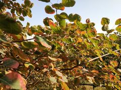 -香山公园-东宫门售票处