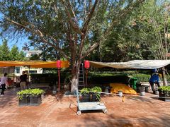 -郑州方特梦幻王国