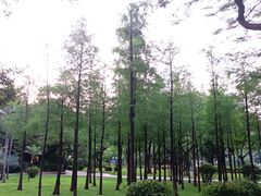 -晓港公园