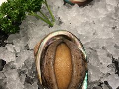 鲜活小鲍鱼-新一哥粤菜火锅(瑞金店)