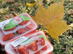 -肯德基(桐庐富春江店)