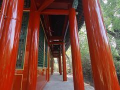 -北京动物园-畅观楼