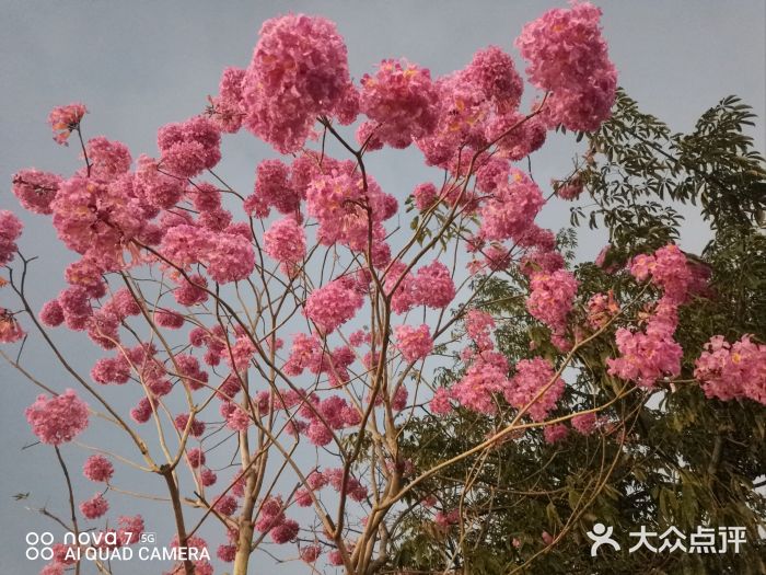 飞翔公园(地铁站)图片