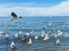 -青海湖二郎剑景区