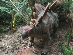-呀路古热带植物园