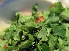 -悦见花开·花园里的火锅·露营·下午茶