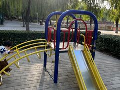 -莲花池公园