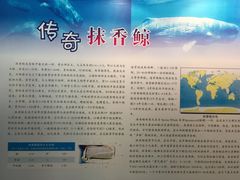 -上海海洋大学鱼文化博物馆(军工路校区)
