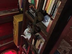 -房子红了鱼豆花重庆老火锅(广厦学院店)