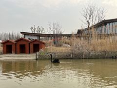 -东平国家森林公园