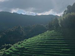 -南靖田螺坑土楼群景区