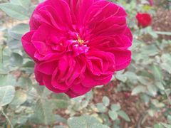 -人民公园(罗湖区)