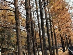 -白水寺森林公园