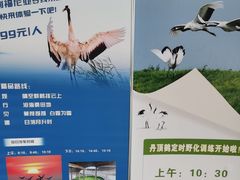 -盐城丹顶鹤湿地生态旅游区