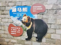 -成都动物园