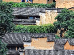 -杨家堂村