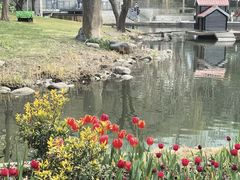 -徐家汇源景区-衡山公园