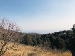 -鬼笑石后山停车场